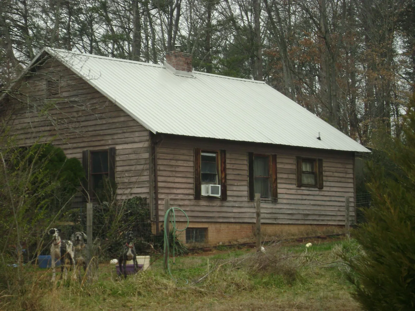 White metal roof on an old wood sided farmhouse, from a Asphalt Shingle Roof Repair job in Bethpage